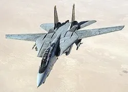 Grumman F-14 Tomcat 3D model