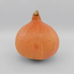 hokkaido pumpkin - photoscan Low-poly 3D model