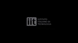 Istituto Italiano di Tecnologia Logo Decal