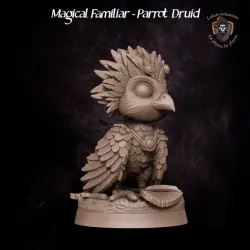 Magical Familiar - Parrot Druid