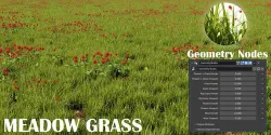Meadow Grass - Geometry Nodes 3D model
