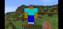 Minecraft Steve