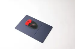Mouse with scroll