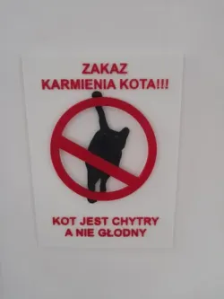 Nie dokarmiać kota