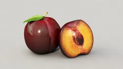 Plum 3D Model 3D model