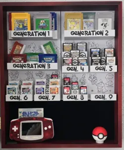 Pokemon Main Line Display Case