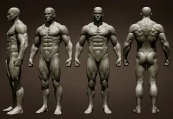 Realistic Male Full Body 3D model