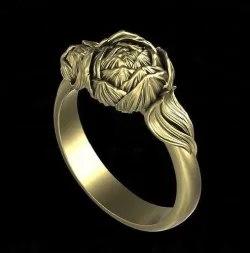 Ring pion 3D print model