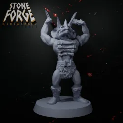 Rock Clan Warrior