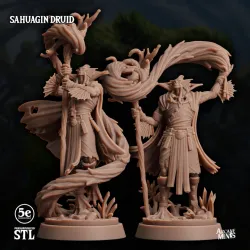 Sahuagin Druid