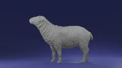 Sheep realistic for printing diorama - looking up  3D print model