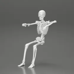 Skeleton with arm on window driving the car