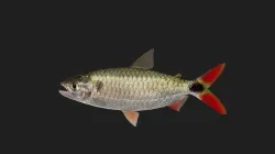 Tetra Low-poly 3D model