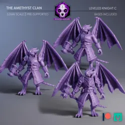 The Amethyst Clan | Leveled Knight C