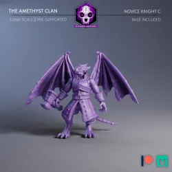 The Amethyst Clan | Novice Knight C