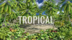 Ultimate Tropical Collection Low-poly 3D model