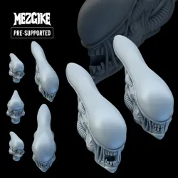 Xenomorphix heads (pre-supported)
