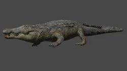Aligator real measure 3D model