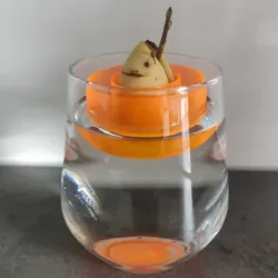 Avocado Boat - minimalistic - vase mode