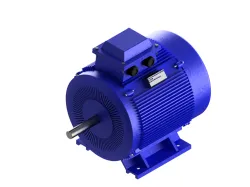 ELECTRIC MOTOR
