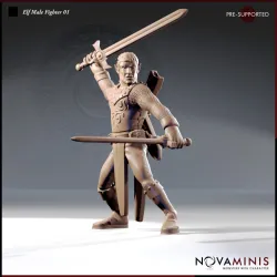 Elf Male Fighter 01