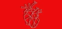 Geometric Human Heart