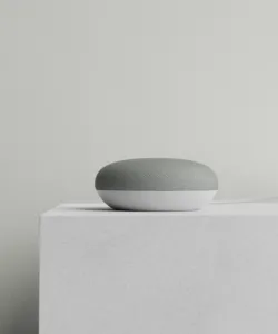 Google Home Mini
