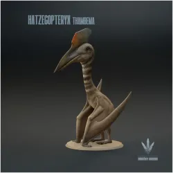 Hatzegopteryx thambema : The Hațeg Basin Wing