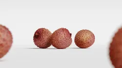Lychee 002 3D model