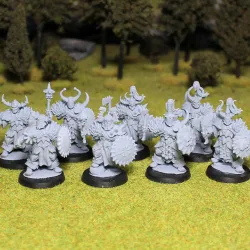 Northern warriors