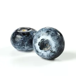 POLYPASTA - Blueberry 01 3D model