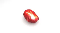 Pomegranate Seed 3D model