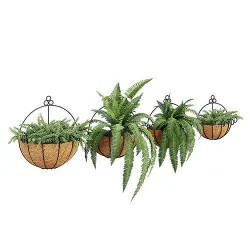 Rovive three hanging planters with ferns 3D model