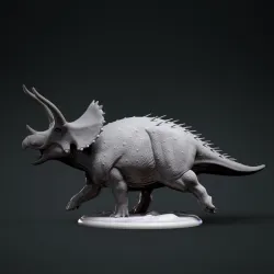 Triceratops 3