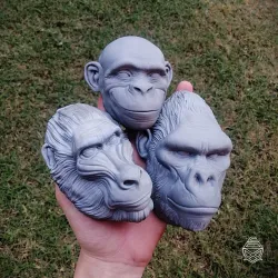 Wall Hanging Monkeys Set