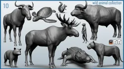 Wild animal collection - 10 animals VOL-3 3D model