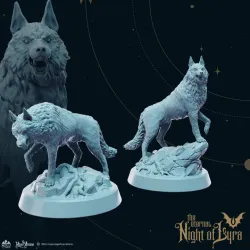 Wolf