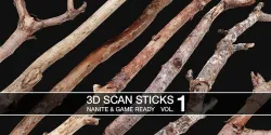 3D Scanned Sticks Low-poly 3D model