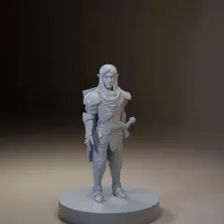 Alistar - Half elf Eldritch knight - Pose 1