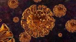 covid-19 virus 3d model corona virus 3D model