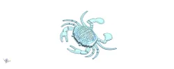 CRAB MODEL