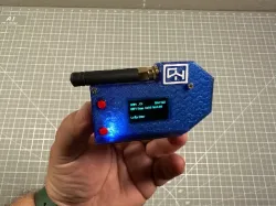 Darknet-NG 13 Badge