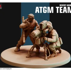 Desert Hawks ATGM Team v2