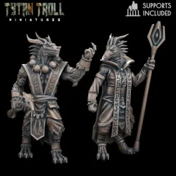 DnD Heroes Dragonborn Mages [Pre-Supported]