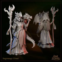 Dragonmage