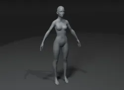 Female Body Base Mesh Animated and Rigged 3D Model 10k Polygons Low-poly 3D model