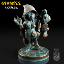 Gnomess Rogue