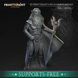 Hermit Mage Elf