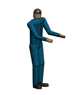 HUMAN CAD MODEL