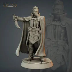 Male Bandit assassin master